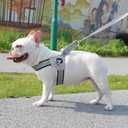 No Pull Small Dog Harness, Adjustable Puppy Soft Vest Harness with Breathable Mesh Padded, Reflective Lightweight Harness with Buckle for Extra Small Medium Dogs, Sliver-M