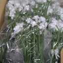 LYLYFAN Babys Breath Artificial Flowers,18 Pcs Gypsophila Faux Flowers for Wedding Party Home Garden Decoration White