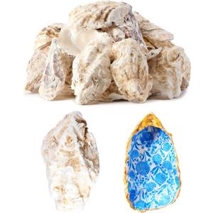 30Pcs Extra Large Oyster Shells for Crafts 5"-6" , Oyster Shell for Crafting Seashells for CraftsPaintingWeddingChristmasBeach Theme Decor and CleanOdor-Free Sea Shells for Crafting