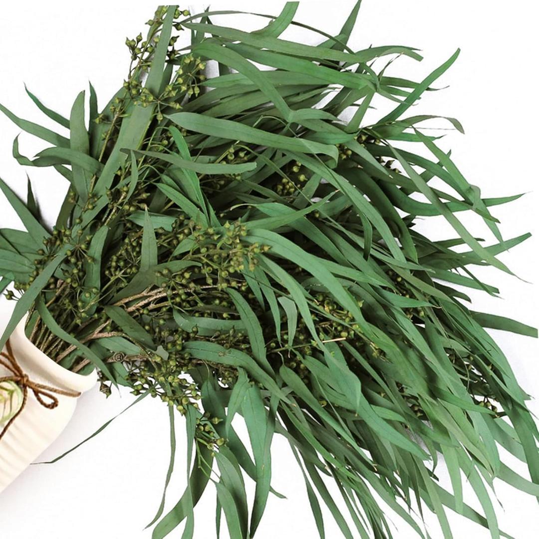 17'' Real Dried Seeded Eucalyptus Stems for Shower, Preserved Natural Eucalyptus Leaves with Seeds, Preserved Greenery Branches for Arrangement, Wedding, Office, Farmhouse, Home Decor(5oz)