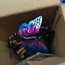Decorative Solar Garden Light, Butterfly Glass Flower Stake for Lawn Yard