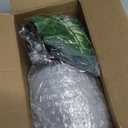 JC nateva 16" Small Fake Plants Artificial Tropical Faux Plants Indoor for Office Desk Shelf Bathroom Home Decor