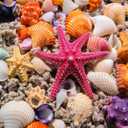 HUADADA Jigsaw Puzzles for Adults 1000 Pieces, Beach Shells Interlock Perfectly Letter on Back No Dust, Home Decor Birthday Party Toy for Men Women Elders Seniors (27.5"x19.6"), 1:1 Poster