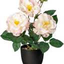 Hollyone Artificial Plants & Flowers with Vase Pink Roses Artificial Flowers Small Potted Plant Faux Silk Flower with Black Pot Fake Rose Flower Arrangement Office Shelf Desk Home Decor 11 Inch (Rose 2-pink 11inch)