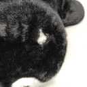 5 Pounds Weighted Penguin Stuffed Animals 23.6Inch Large Weighted Penguin Plush,Huggable Companion for Kids & Adults, Gift for Thanksgiving, Christmas and Birthday.