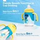 hahaland Sippy Cup for 6+ Month Old - 2 in 1 Spout & Straw Sippy Cups for Toddlers 1-3 No Spill Transition Weighted Straw Toddler Cups - 1 Cup with 2 Nipples