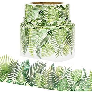 Youngever 52.5 ft Bulletin Board Borders for Classroom Decoration (Tropical Theme), Set of 2