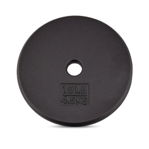 Yes4All Standard 1" Cast Iron Weight Plate - Ideal for Strength Training - Multiple Weight: 2x10LB (Single & Set of 2)