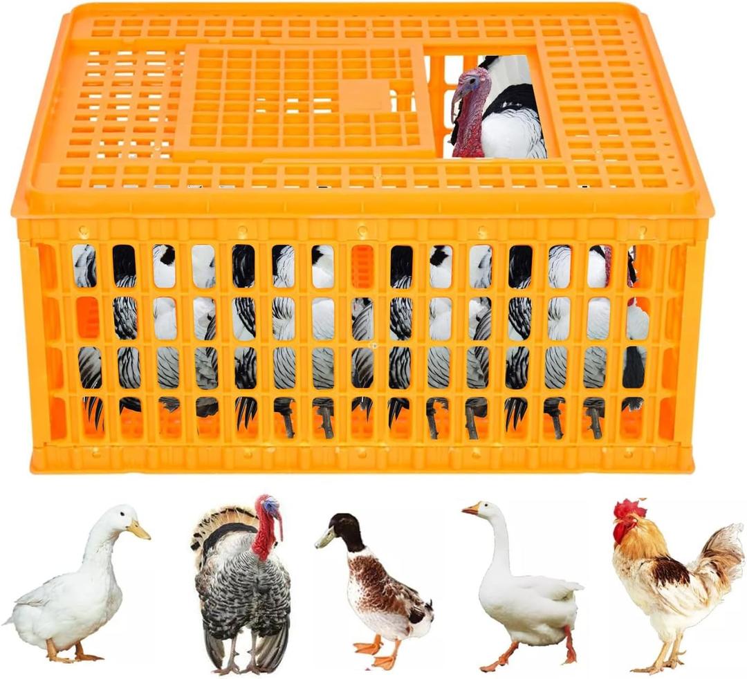 Poultry Carrier Crate Plastic Chicken Transport Crate Cage Heavy Duty Chicken Carrier Crates Crates Transport Box