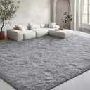 EVOIONOS 5x7 Washable Large Area Rug for Living Room, Fluffy Shag Rug for Bedroom, Ultra Soft Plush Non Slip Carpet for Indoor Floor Bedside Nursery Kids Girls Room Dorm, Home Decor Aesthetic, Grey