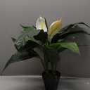 Nearly Natural 26 Spathiphyllum Artificial (Real Touch) Silk Plants Green