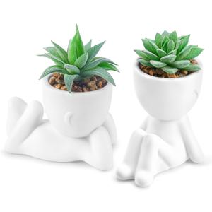 Der Rose Set of 2 Fake Plants Artificial Succulent Plants for Office Desk Accessories Bathroom Home Room Aesthetic Decor Indoor (White)