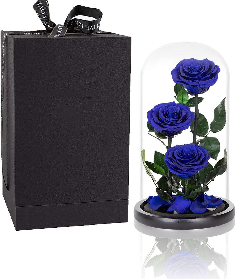 Preserved Roses Handmade Preserved Flowers in Glass Dome, Blue Rose Never Withered, Birthday Gifts for Women (13 inch)