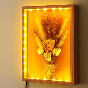 Shadow Box with LED Light for Dried Flowers, Changeable Picture Display & Storage, Frame Wall-mounted & Tabletop Art Display Shadow Box Frame (Light Red)