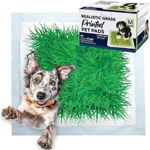 Big Dawg Pet Supplies Absorbent Puppy Pee Pads for Dogs & Cats – 24x24” Disposable Pet Pads – Handy Grab-n-Go Box – Potty Training & Housebreaking Supplies – Color, Grass – 40pc