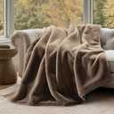 EVERGRACEHOME Ultra Soft Luxury Fluffy Mink Faux Fur Throw Blanket, Thick Warm Fall Winter Blankets for Bed, Couch, Cozy Plush Reversible Blanket for Chair, Sofa (Natural Tan, 60"x80")