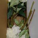 IPOPU White Peonies Artificial Flowers 8pcs Peony Silk Flowers Fake White Flowers for Wedding Centerpieces for Tables Centerpieces Bridal Shower Party Decorations