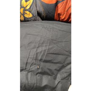 Xruibed Black Floral Comforter Set Queen Size 7 Pieces Bed in a Bag Flower Bedding Sets Lightweight Boho Bed Set with Sheet,Pillowcases&Shams for All Season