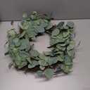 HD 24in Eucalyptus Wreath