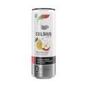 CELSIUS Sparkling Fuji Apple Pear, Sugar Free Energy Drink, 12 Fl Oz (Pack of 12) (EXP 05/01/27)