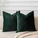 JUSPURBET Army Green Couch Pillow Covers Set of 2 Decorative Velvet Throw Pillow Covers Cases for Living Room Bedroom Home Decor Soft Cushion Covers with Hidden Zipper for Sofa Bed 24x24 inch