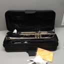 Beginner trumpet Brass Instrument Trumpet Lacquer Gold Trumpet B-flat Key Beginner Adult Musical Instrument(Silver)