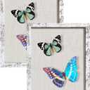 2 Packs 8x10 Shadow Box Frame with Linen Back - Sturdy Rustic Memory Display Case of Flower, Pictures, Medals and More, Distressed White