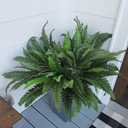 30in Set of 2 Artificial Ferns for Outdoors, Artificial Fern, Suitable for Office & Living Room Decor, 40 Branches for Each Bouquet