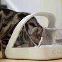 Sure Petcare -SureFlap - SureFeed - Microchip Pet Feeder - Selective-Automatic Pet Feeder Makes Meal Times Stress-Free, Suitable for Both Wet and Dry Food - MPF001, Standard