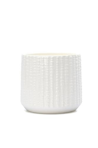 Arktiva Ceramic Planter Pot with Drainage Hole, 5 Inch Dia, Indoor and Outdoor, Home Patio Garden, Plants Flower Succulent, Textured Round (White)