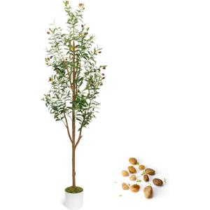 Artificial Olive Trees 5FT - Large Faux Olive Tree for Indoor with White Planter, Tall Fake Olive Silk Tree Realistic Olive Plants with Branches and Fruits for Home Decor Office Living Room