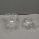 Transparent Plastic Sphere, 8"