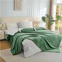 Electric Heated Blanket King Size, Dual Control Fast Heating Sherpa Blanket, 8 Heating Levels & 10 Hours Auto Off, Machine Washable with ETL & FCC Certified, Green