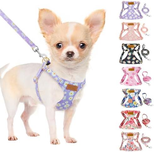 SlowTon Dog Harness Small Sized Dog - Soft XXS Dog Harness and Leash Set No Pull No Chock, Adjustable Lightweight Puppy Harness for XS Small Dogs Cats (Purple Dasiy, XXS)