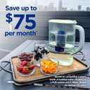 PUR 7-Cup Water Pitcher, 1 Genuine Filter, Cleaner, Great-tasting Water, Dishwasher Safe, Powerful, Faster Filtration, LockFit Cap Design - Lime