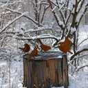 5PCS Rusty Metal Birds Decoration Bird Silhouette Statues Rusty Metal Yard Art Rustic Garden Outdoor Decor C