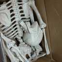 5.9FT/185cm Skeleton Halloween Full Size, Life Size Skeleton with Posable Joints Glowing Eyes Skeleton for Halloween Party Outdoor Haunted House Decor