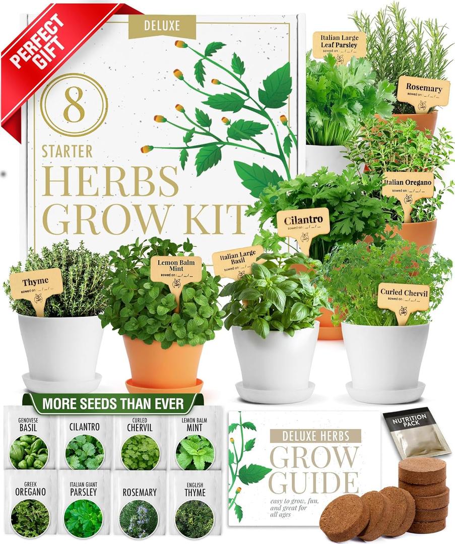 HOME GROWN Gift Herb Kit  8 Herb Seeds Set with Basil, Cilantro, Mint & More, Complete Indoor Grow Kit for Kitchen, Gardening Gifts for Women & Men, Ideal for Cooking & Home Dcor