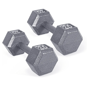 2 Pack CAP Barbell Cast Iron Hex Dumbbell |Gray 20lb