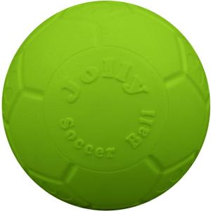 Jolly Pets Medium Soccer Ball Floating-Bouncing Dog Toy, 6 inch Diameter, Apple Green (SB06 GR)