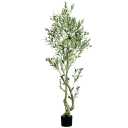 Quibbay Artificial Olive Tree, 6FT Tall Faux Silk Plant for Home Office Decor, Fake Olive Trees with Natural Wood Trunk and Lifelike Fruits, Fake Potted Olive Silk Tree, Artificial Plants for Gift