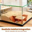 Hermit Crab Cave Hideout with Climbing Ramp | 3-in-1 Underground Tunnel & Climbing Toy for Hermit Crab Tanks | Safe Reptile & Amphibian Habitat Decorations