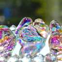 HDCRYSTALGIFTS 12pcs Suncatcher Crystal 50mm AB Loquat Shape Chandelier Parts Drops Prisms Hanging Crystal Sun Catchers,Colorful Glass Ornaments for Christmas Tree
