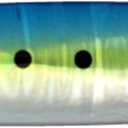 Shimano Inc. CURRENT SNIPER JIG 60g Candy Iwashi