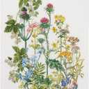 Thea Gouverneur - Counted Cross Stitch Kit - Herb Panel - Linen - 36 Count - Embroidery Kit for Adults - DMC Embroidery Threads and Other Cross Stitch Supplies Included - 424