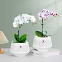 5 inch Orchid Pots with Holes for Repotting,Set of 2,Decorative African Violet Pots with Air-Pruning and Good Air Circulation,Plastic White Orchid Planter with Saucers
