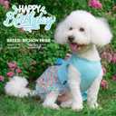cyeollo Dog Birthday Dress, Soft Tulle Dog Dresses for Dogs Girl, Pullover Dogs Clothes with Bowknot, Pet Birthday Party Outfit, Holiday Pet Apparel, Blue M