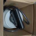 Chapin 20075 Disinfectant Bleach Sprayer, 1 Gallon, Made in The USA, Adjustable Cone Nozzle, Compatible with Bleach Solutions and Fungicides, Translucent White