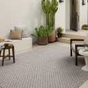 Loloi Amber Lewis Topanga Collection TOP-02 Natural/Silver 2'-3" x 3'-9" Indoor/Outdoor Area Rug