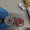 #211 Sherbet - By Elena Nechaeva - Lip Pigment - Permanent Makeup - Professional Tattoo Ink